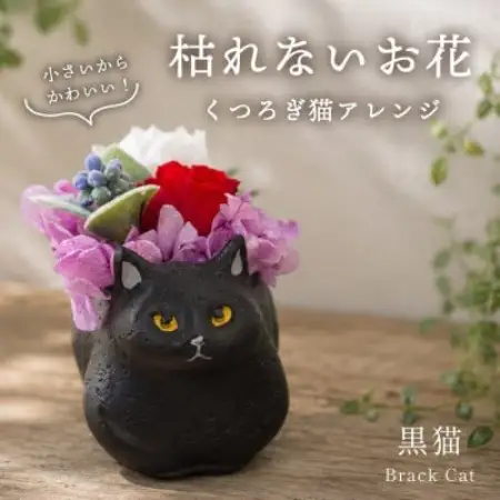 プリザーブドフラワー くつろぎ猫 黒猫 枯れないお花、ネコ好きの方へのプレゼントにもおすすめ!【配送不可地域：離島】【1750208】