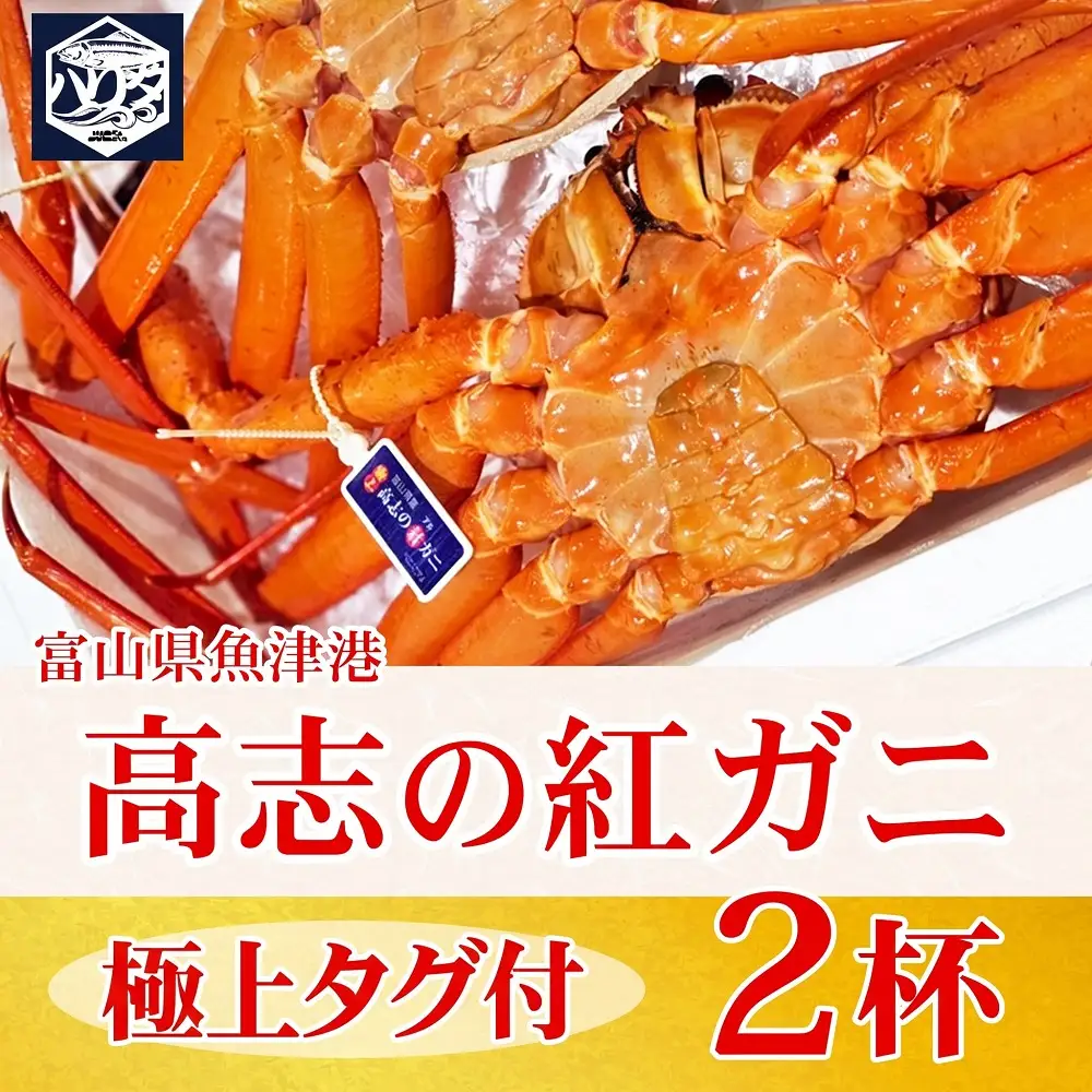 【冷蔵】自社漁船直送！高志の紅ガニ 極上タグ付×2ハイセット ※2026年9月～発送