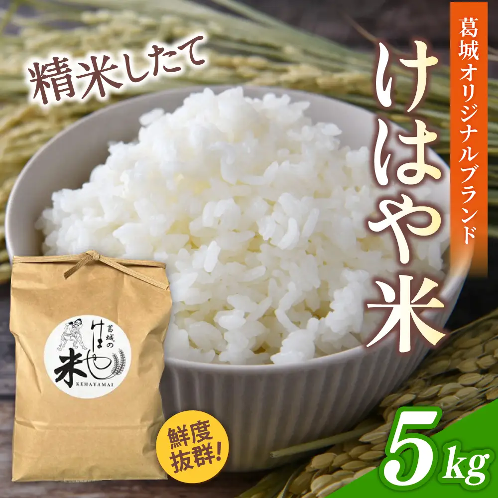 新米 けはや米 精米 5kg 令和8年度産 ヒノヒカリ 葛城市商工会青年部