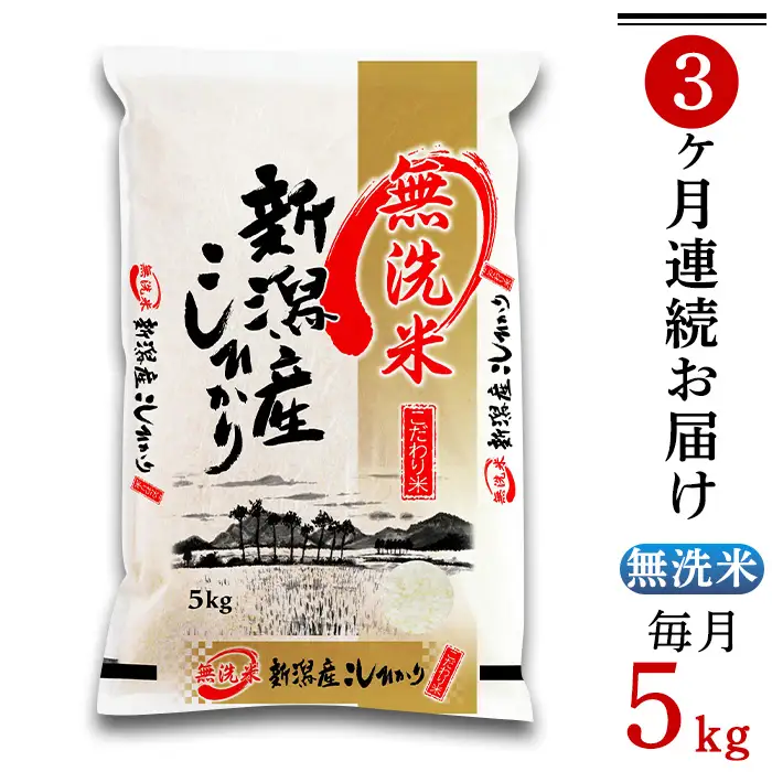 31-M53【無洗米】新潟県産コシヒカリ5kg【3ヶ月連続お届け】