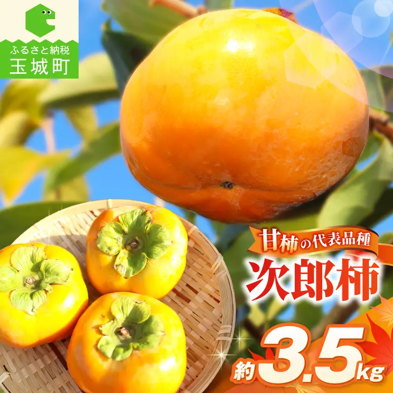 【先行予約】2026年度発送 玉城町産玉城次郎柿 約3.5kg（クレジット申込限定）