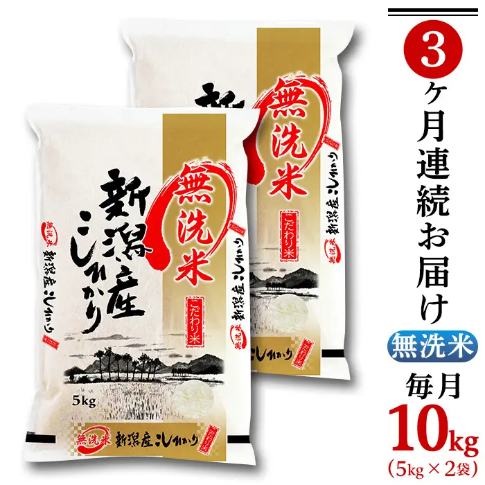 31-M103【無洗米】新潟県産コシヒカリ10kg（5kg×2袋）【3ヶ月連続お届け】