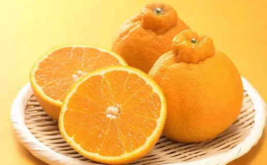 ＜ R8年熊本地震復興支援 ＞訳あり不知火 5kg 不知火 しらぬい デコみかん みかん ミカン 果物 くだもの フルーツ 柑橘類 柑橘系 柑橘 果実 国産 熊本県産 【 2027年1月下旬～4月下旬発送予定 】