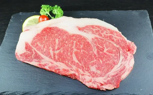 ＜ R8年熊本地震復興支援 ＞【定期3回】GI あか牛ロースステーキ 500g 牛肉 牛 あか牛 お肉 肉 ニク にく 精肉 赤身 ヘルシー ロース ステーキ 国産 熊本県産 冷凍