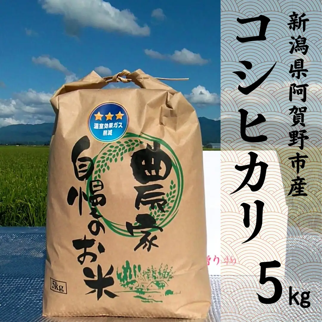 【令和8年産新米予約】阿賀野市産 コシヒカリ 5kg 精米 白米 新潟県 阿賀野市 米 こめ コメ 10月上旬より発送開始予定 3Q01013