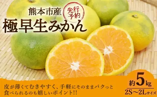 ＜ R8年熊本地震復興支援 ＞極早生みかん 約5kg （ 2S ～ 2L サイズ ） くだもの 果物 フルーツ みかん ミカン 果実 果汁 果肉 秋の味覚 国産 熊本県産 旬 【 2026年10月上旬～11月上旬発送予定 】