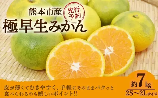 極早生みかん 約7kg