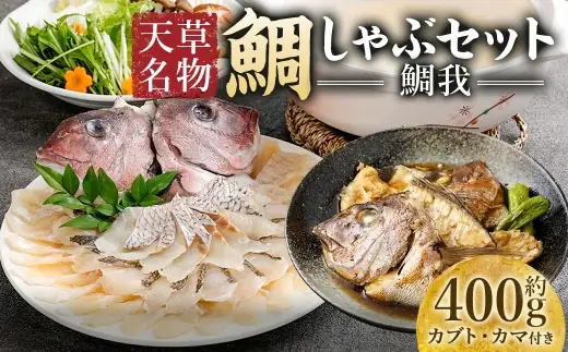 ＜ R8年熊本地震復興支援 ＞天草名物鯛しゃぶセット ー鯛我ー しゃぶしゃぶ 真鯛 鯛 タイ たい マダイ 煮付け 出汁 出汁昆布 昆布 カブト カマ 魚 魚介類 海鮮 冷凍