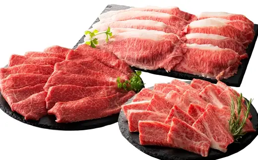 ＜ R8年熊本地震復興支援 ＞くまもと黒毛和牛 【 藤彩牛 】 厳選3種食べ比べ 計600g （ バラ焼肉用 ・ モモスライス ・ ローススライス ） お肉 肉 ニク にく 牛肉 牛 精肉 バラ カルビ 焼肉 BBQ バーベキュー モモ スライス ロース 食べ比べ セット 詰め合わせ 冷凍
