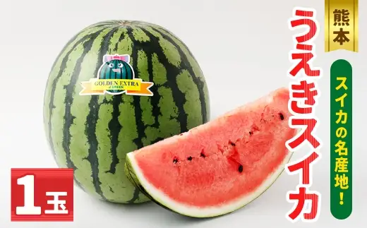 ＜ R8年熊本地震復興支援 ＞熊本うえきスイカ 1玉 （ 約10kg ） スイカ すいか 西瓜 大玉スイカ 大玉 果物 くだもの フルーツ 果実 果肉 国産 熊本県産 甘み 【 2027年4月上旬から6月下旬発送予定 】