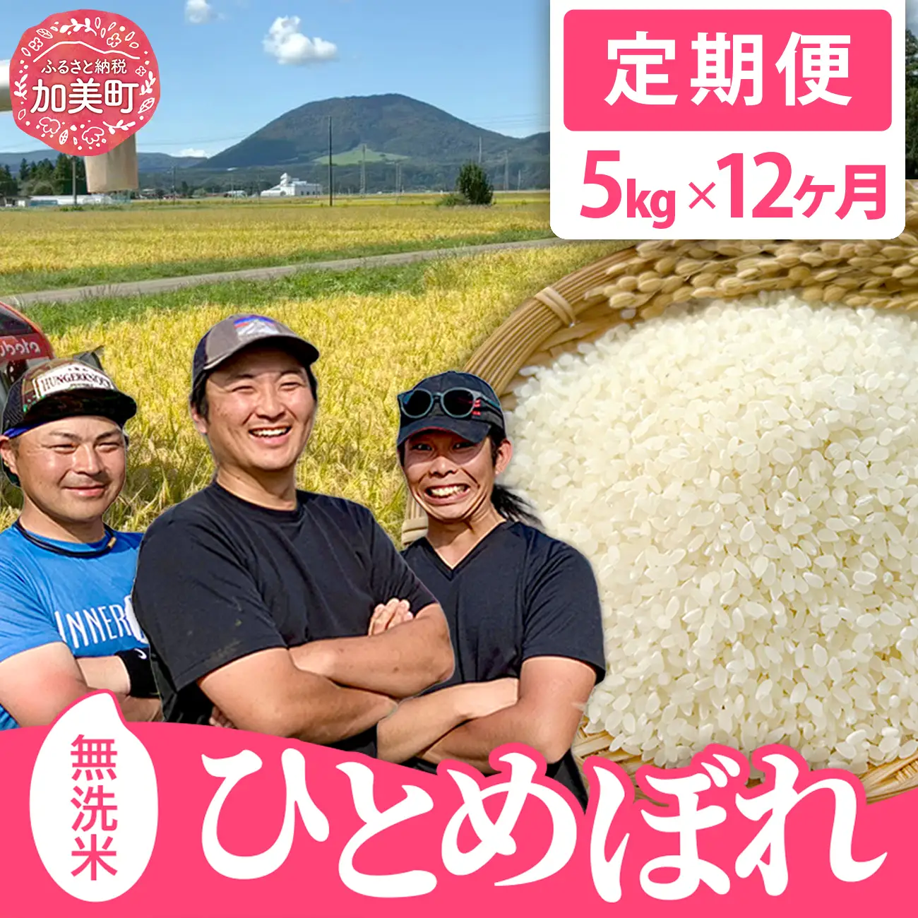 ひとめぼれ 無洗米5kg×12回定期便 ひとめぼれ