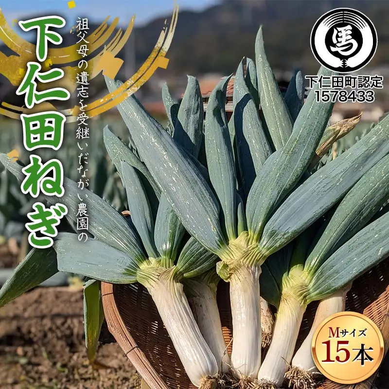 【伝統野菜】祖父母の遺志を受継いだ ながい農園の下仁田ねぎ (Mサイズ15本) 群馬県 下仁田町産 家庭用 鍋 すき焼き F21K-555