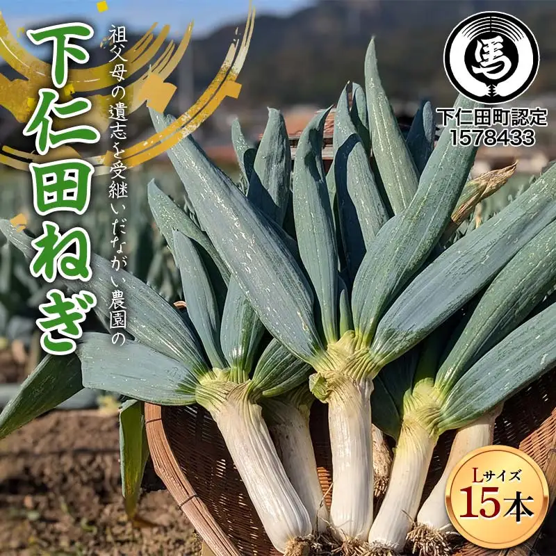 【伝統野菜】祖父母の遺志を受継いだ ながい農園の下仁田ねぎ (Lサイズ15本) 群馬県 下仁田町産 家庭用 鍋 すき焼き F21K-554