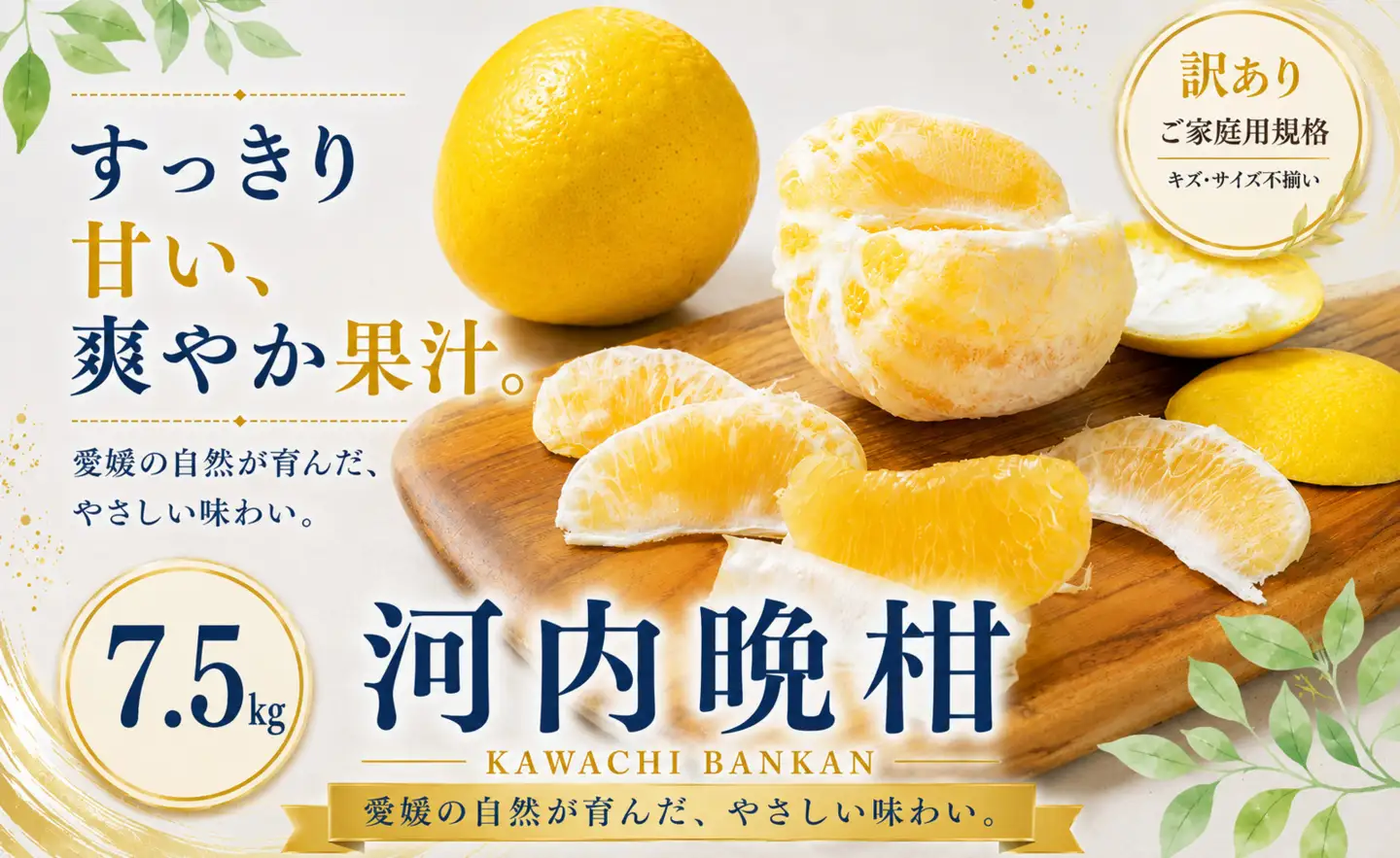 2027年3月下旬~7月上旬迄に 出荷予定