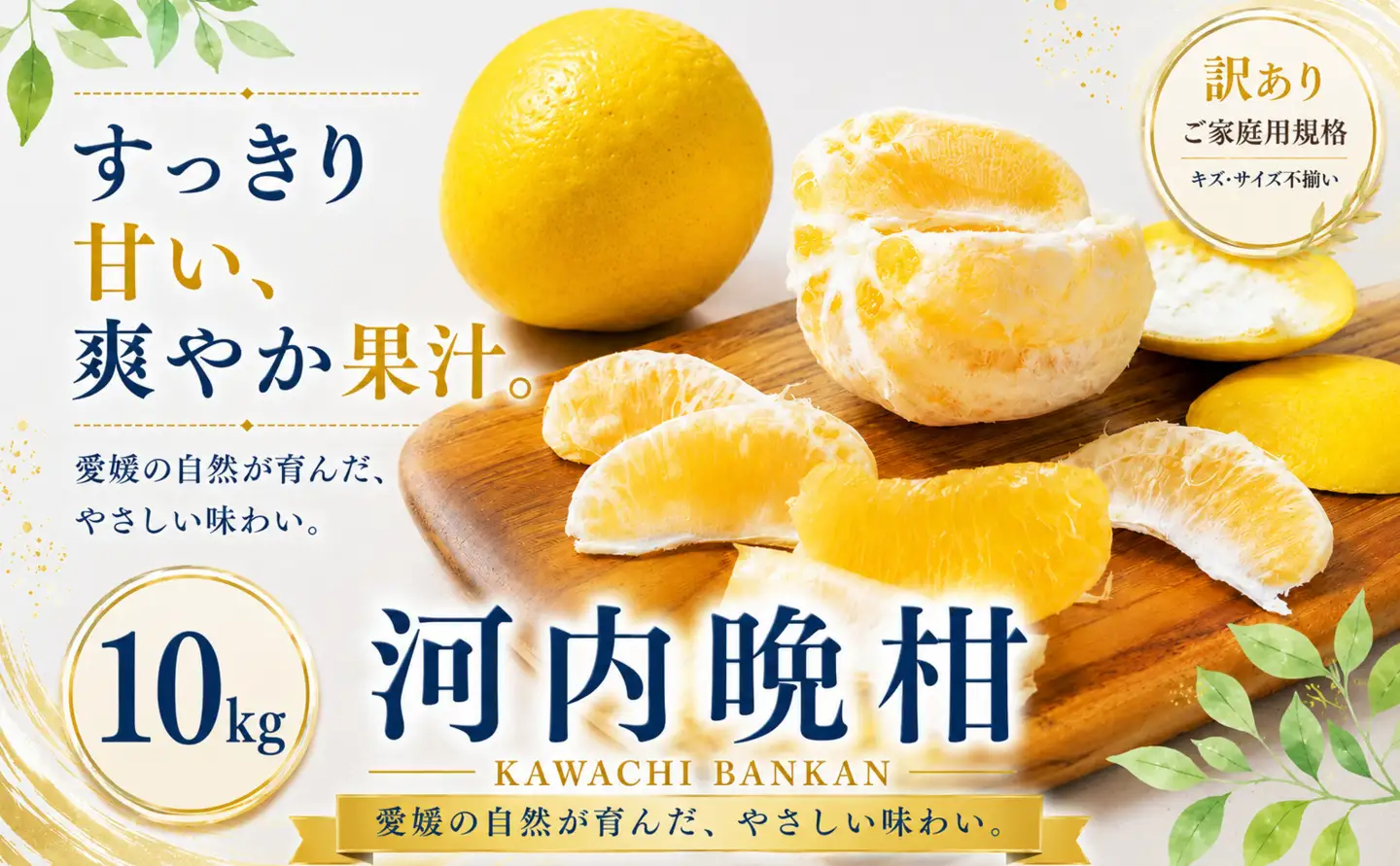 ＜訳あり 愛媛県産河内晩柑 合計約10kg＞『2027年3月下旬～7月上旬迄に順次出荷予定』 かわちばんかん ジューシー 甘い あまい 果汁 果物 くだもの フルーツ みかん オレンジ 柑橘 人気柑橘 特産品 株式会社OSN 愛媛県 西予市 【常温】OOS0052