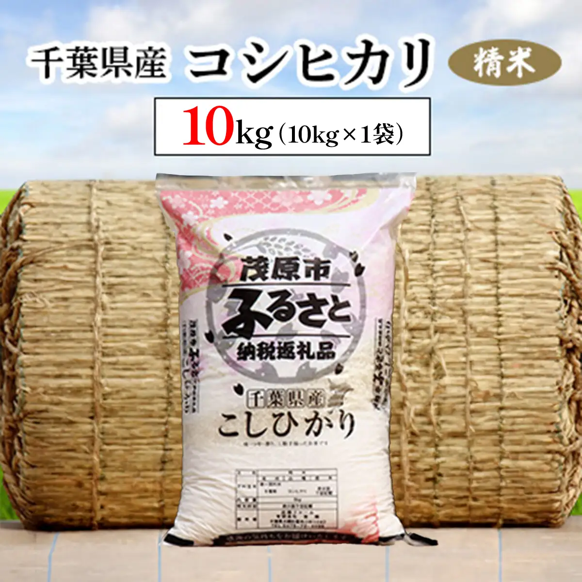 令和８年産 千葉県産コシヒカリ 精米 10kg(10kg×1袋)　MBAD010