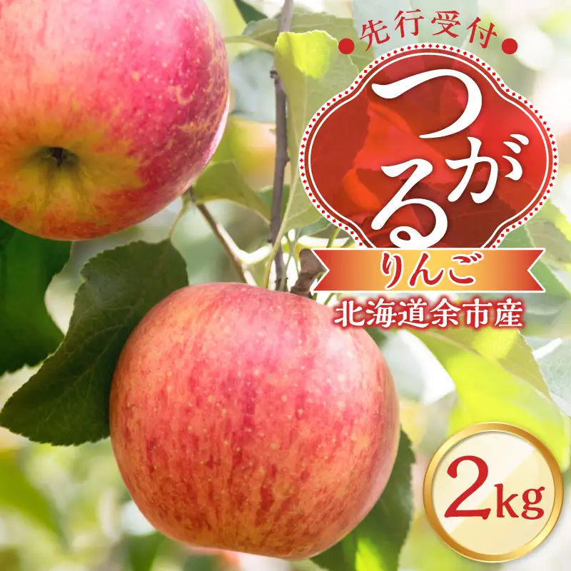 【先行予約2026年9月下旬より発送】りんご（つがる）2kg【北海道余市町産】甘口 ジューシー みずみずしい 秋果物 酸味少なめ 産地直送 しゃりっと食感 果肉やわらか_Y103-0099