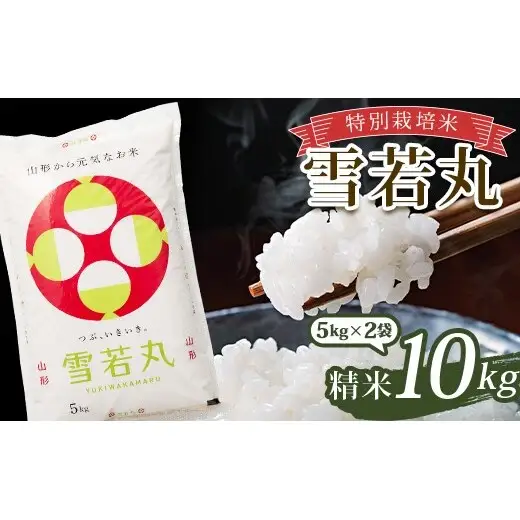 令和7年産 特別栽培米 雪若丸 (精米) 10kg (5kg×2袋) 山形県南陽市産 米 白米 ご飯 農家直送 山形県 南陽市 [1093-A]