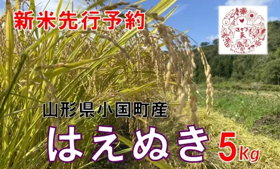 【令和８年産米 先行予約】山形県小国町産　はえぬき5kg　きせつ家