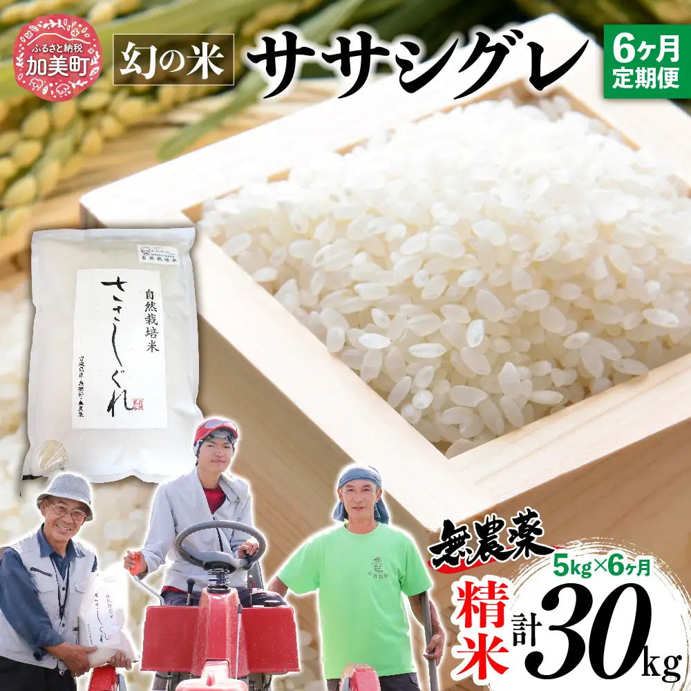 【新米予約】《 希少品種米 》 米 令和8年 宮城県産 ササシグレ ( 栽培期間中農薬・肥料不使用 ) 【 6回 定期便 】 精米 白米 5kg × 6ヶ月 （ 合計 30kg ） | nt-ss05-t6-r8