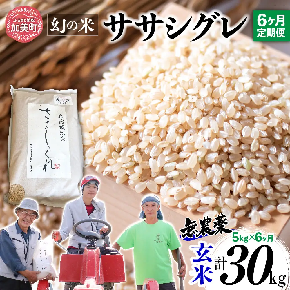 【新米予約】《 希少品種米 》 米 令和8年 宮城県産 ササシグレ ( 栽培期間中農薬・肥料不使用 ) 【 6回 定期便 】 玄米 5kg × 6ヶ月 （ 合計 30kg ） | nt-ss05-gn-t6-r8