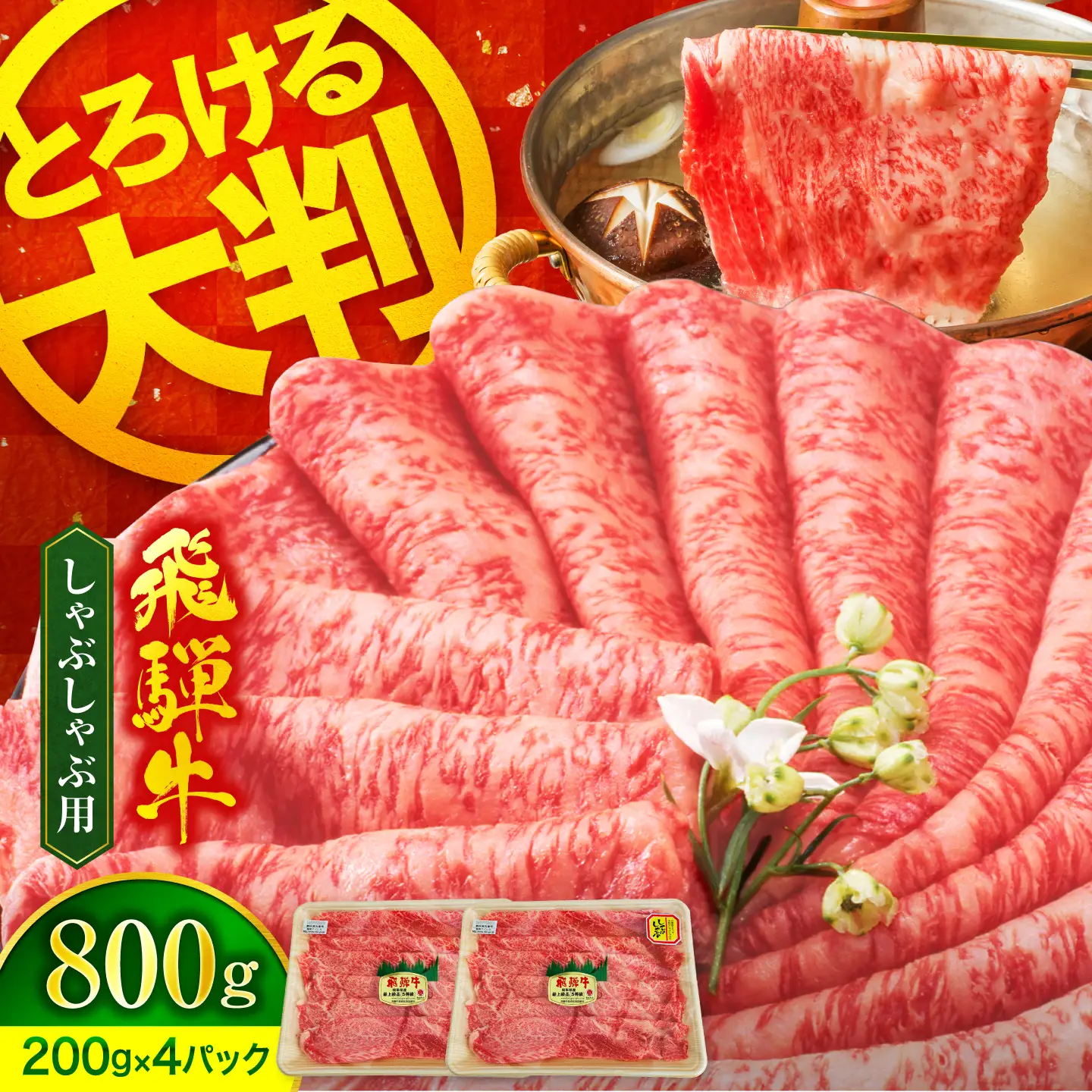 飛騨牛 しゃぶしゃぶ用 800g(200g×4)【有限会社マルゴー】 A5 小分け 冷凍 岐阜県産[MBE079]