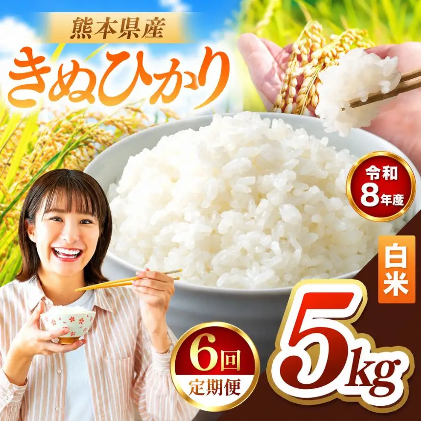 【 定期便 6回 】R8年産 熊本県産 白米 きぬひかり 5kg