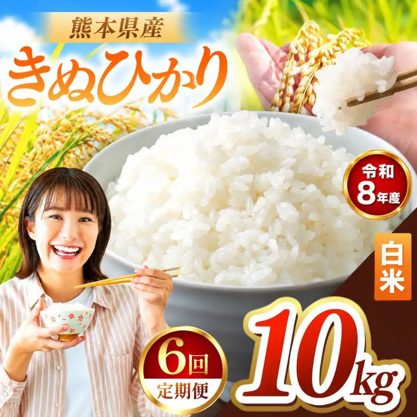 【 定期便 6回 】R8年産 熊本県産 白米 きぬひかり 10kg