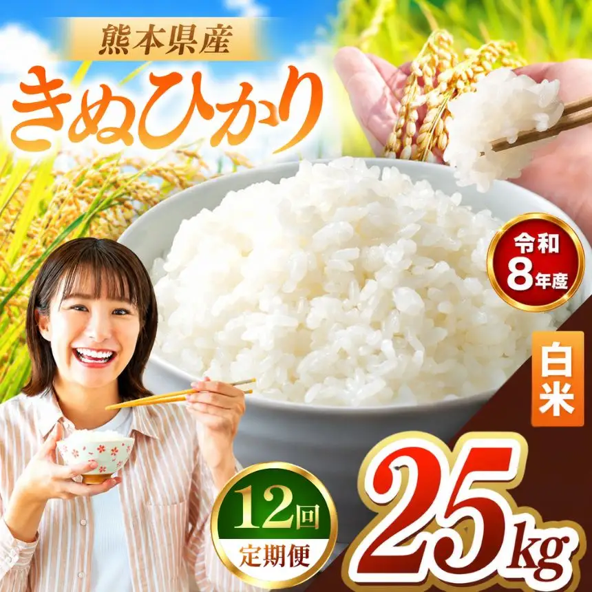 【 定期便 12回 】R8年産 熊本県産 白米 きぬひかり 25kg