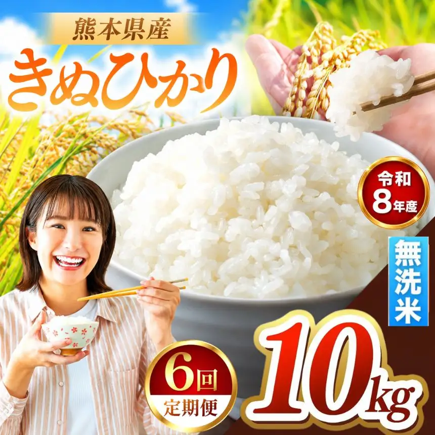 【 定期便 6回 】R8年産 熊本県産 無洗米 きぬひかり 10kg