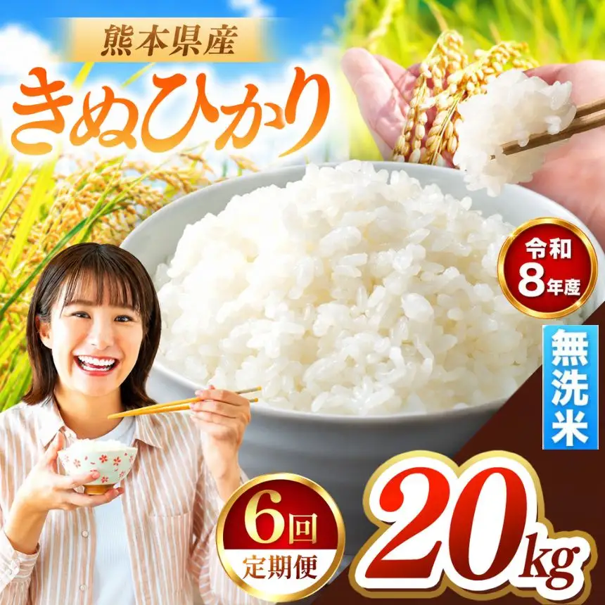 【 定期便 6回 】R8年産 熊本県産 無洗米 きぬひかり 20kg