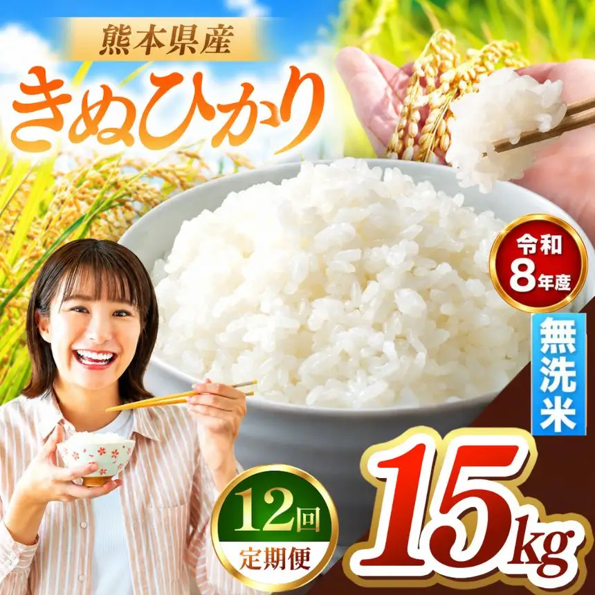 【 定期便 12回 】R8年産 熊本県産 無洗米 きぬひかり 15kg