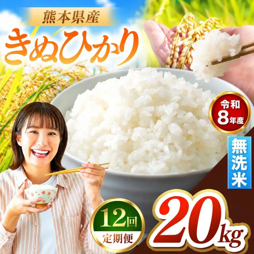 【 定期便 12回 】R8年産 熊本県産 無洗米 きぬひかり 20kg