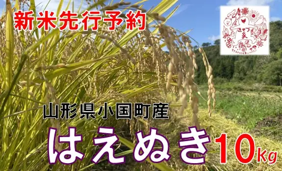 【令和８年産米 先行予約】山形県小国町産　はえぬき10kg　きせつ家