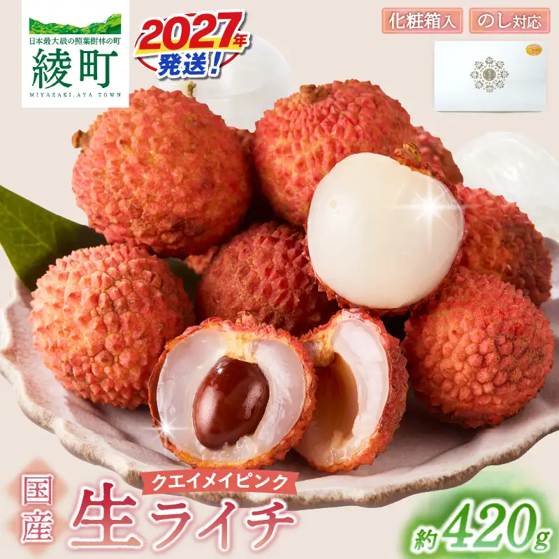先行予約 数量限定 希少 国産 綾生ライチ「クエイメイピンク」化粧箱入り 果物 フルーツ くだもの 国産ライチ 2027年 トロピカル 南国フルーツ 冷蔵 高級 デザート ギフト 贈り物 プレゼント ご褒美 おすすめ 宮崎県 送料無料 【JA綾町】_A0114-268