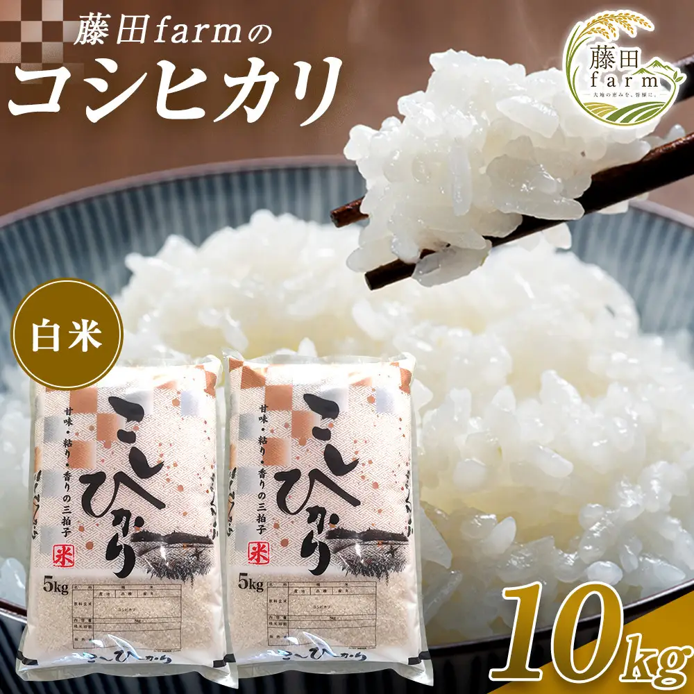 【先行予約受付】≪10月上旬発送≫令和８年産 大田原市 藤田farmのコシヒカリ【白米】10kg ｜栃木県産 米 お米  コメ こしひかり コシヒカリ 栃木県 【選べる容量】5kg 10kg  数量限定