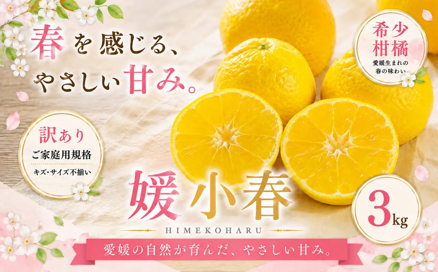 ＜訳あり 愛媛県産媛小春 合計約3kg＞『2027年1月下旬～3月下旬迄に順次出荷予定』 ひめこはる 希少種 甘い ご家庭用 果汁 果物 くだもの フルーツ みかん オレンジ 柑橘 人気柑橘 特産品 株式会社OSN 愛媛県 西予市 【常温】OOS0074