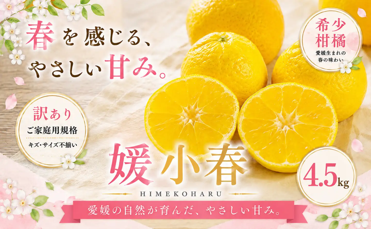 ＜訳あり 愛媛県産媛小春 合計約4.5kg＞『2027年1月下旬～3月下旬迄に順次出荷予定』 ひめこはる 希少種 甘い ご家庭用 果汁 果物 くだもの フルーツ みかん オレンジ 柑橘 人気柑橘 特産品 株式会社OSN 愛媛県 西予市 【常温】OOS0075