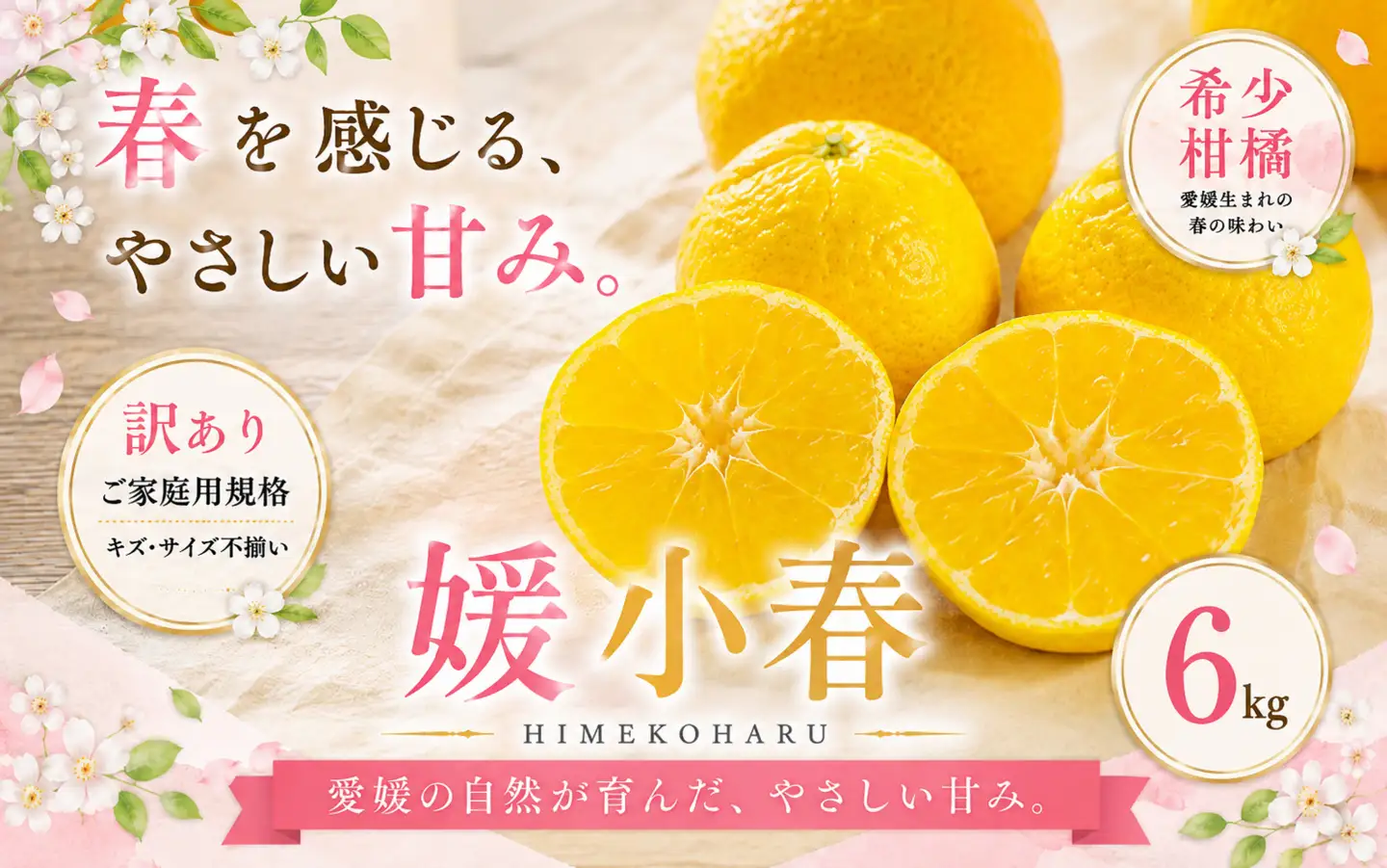＜訳あり 愛媛県産媛小春 合計約6kg＞『2027年1月下旬～3月下旬迄に順次出荷予定』 ひめこはる 希少種 甘い ご家庭用 果汁 果物 くだもの フルーツ みかん オレンジ 柑橘 人気柑橘 特産品 株式会社OSN 愛媛県 西予市 【常温】OOS0076