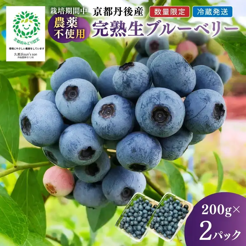 【数量限定】完熟ブルーベリー 生果 200g×2パック（栽培期間中農薬・化学肥料・除草剤不使用）（2027年7月上旬～発送）