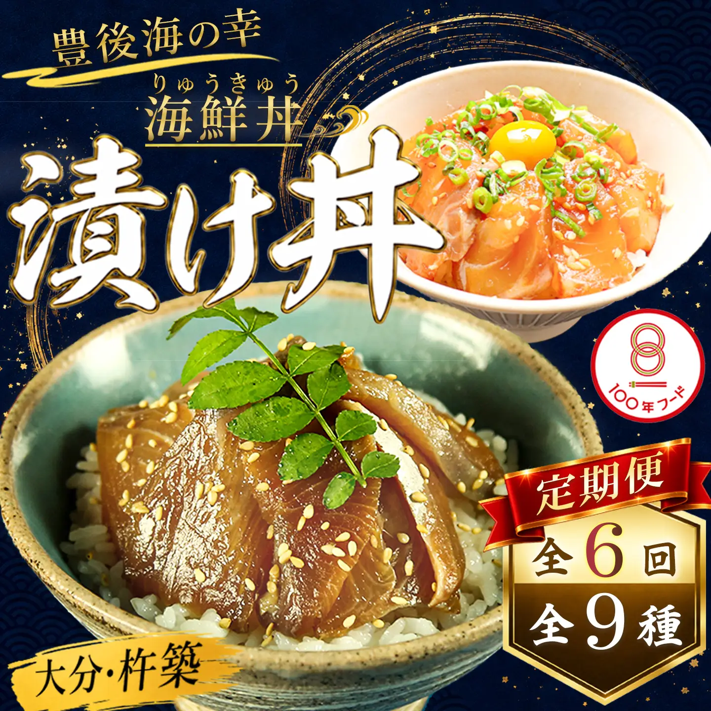 りゅうきゅう 海鮮丼 漬け丼 9種 定期便 6回 ＜101-866＞