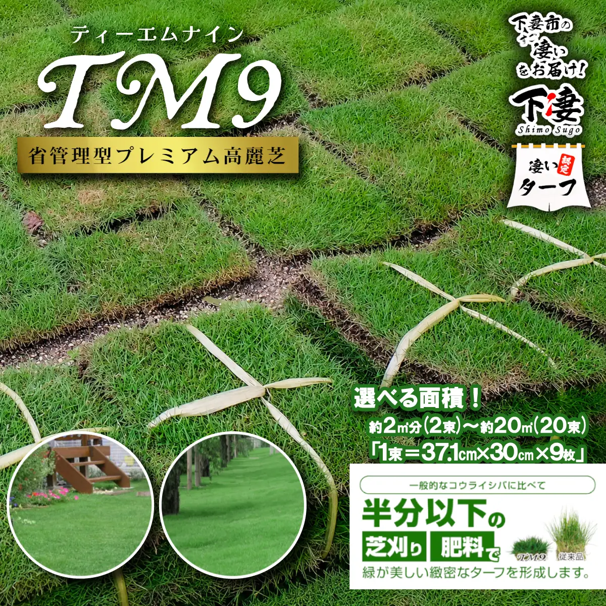 【先行予約】8㎡分 省管理型プレミアム高麗芝 「TM9（芝生）」コウライシバ ティーエムナイン 【2027年3月下旬頃から出荷予定】