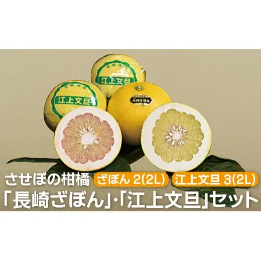 【 先行予約 】 文旦 ざぼん セット 計4kg 文旦 ブンタン KB001