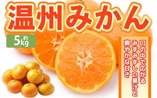 温州みかん 約5kg 2S ～ 2Lサイズ みかん ミカン 蜜柑 果物 くだもの フルーツ 柑橘 柑橘系 柑橘類 果実 果肉 国産 熊本県産 【 2026年11月上旬～12月上旬発送予定 】