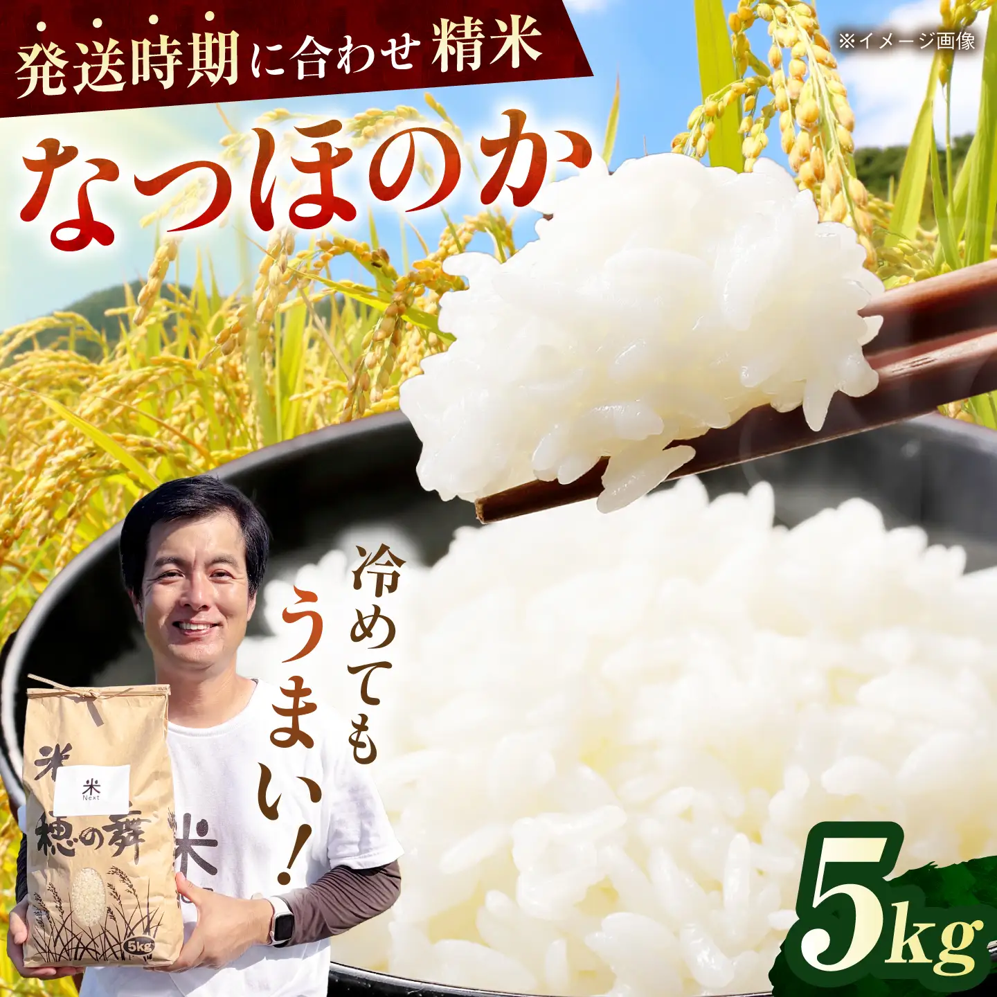【令和8年産 新米】波佐見町産 なつほのか 5kg 米Next 白米[CH01]