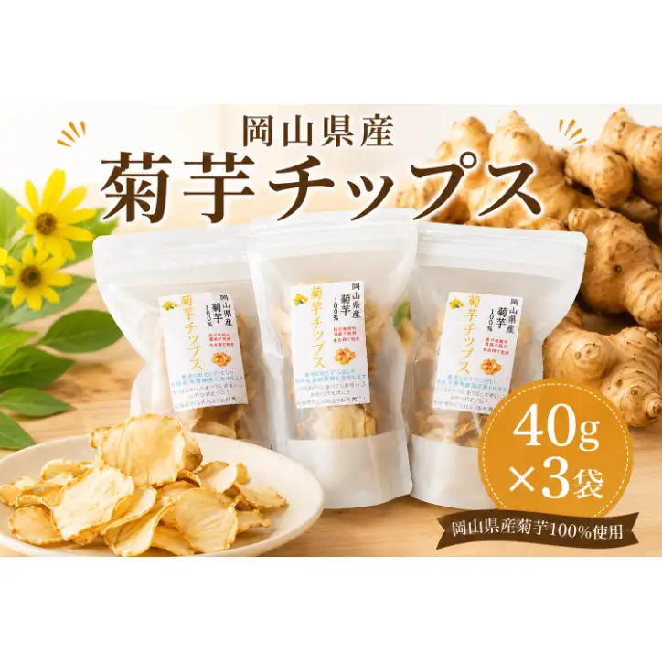 岡山県産 菊芋チップス (40g×3袋) 菊芋 チップス 乾燥菊芋 国産 おやつ おつまみ スナック