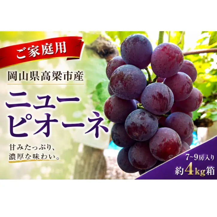 ニューピオーネ7～9房入り 約4kg コンテナ茶箱 ご家庭用 岡山県高梁市産