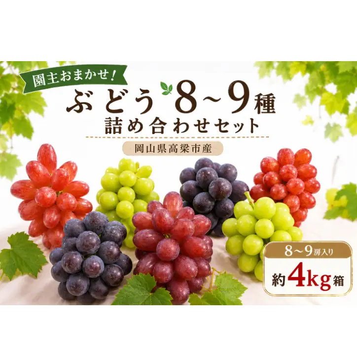 園主おまかせ！ぶどう8～9種詰め合わせセット8～9房入り 約4kg コンテナ茶箱 岡山県高梁市産