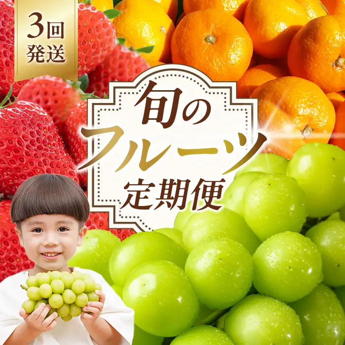＜定期便・全3回(10.12.2月発送)＞フルーツ定期便 (シャインマスカット・田口早生・ベリーツ) ぶどう 葡萄 フルーツ いちご みかん 果物 定期便＜先行予約受付中！26年10月から順次発送予定＞＜北海道、沖縄、離島配送不可＞【206200100】【大分県宇佐市】