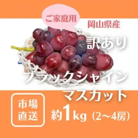 【2027年発送】ご家庭用 訳あり 岡山県産 ブラックシャインマスカット 2-4房(約1kg)【配送不可地域：離島】【1772428】